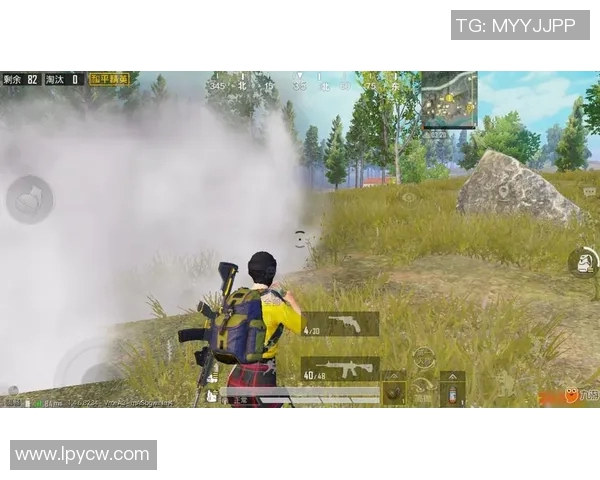 和平精英战术解析：深入探讨JDG战队的快速进攻策略与执行细节