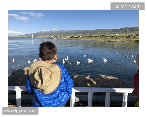 重庆排球队区域防守创新之路探索与实践分析 重庆排球队区域防守创新之路探索与实践分析