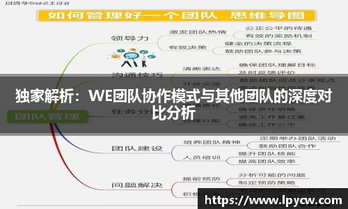 独家解析：WE团队协作模式与其他团队的深度对比分析
