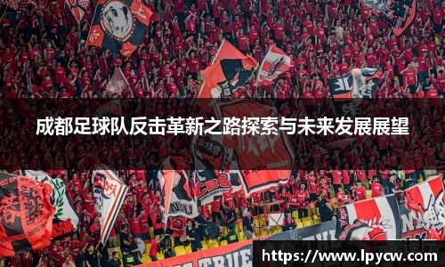成都足球队反击革新之路探索与未来发展展望