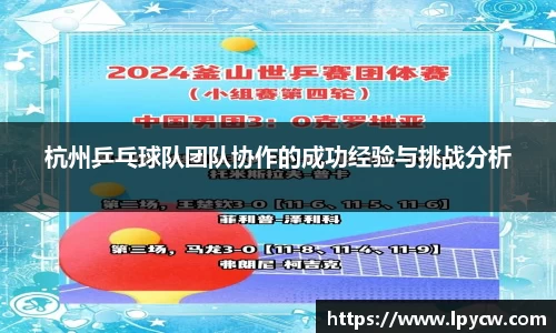 杭州乒乓球队团队协作的成功经验与挑战分析
